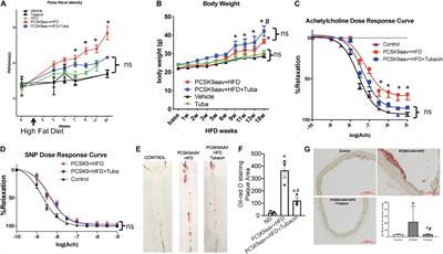 Inhibition of HDAC6 Activity Protects Against Endothelial Dysfunction and Atherogenesis in vivo: A Role for HDAC6 Neddylation